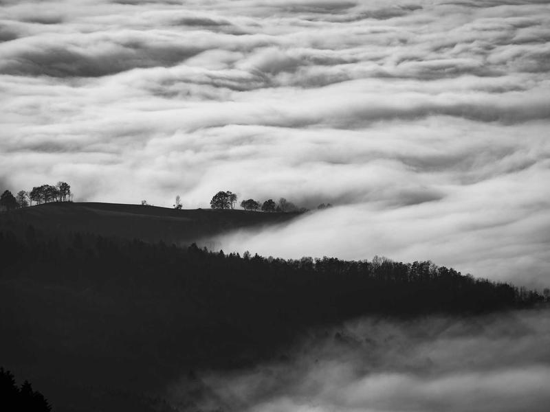Consejos y Guías sobre Tienda Ropa Boca Chica en Boca Chica